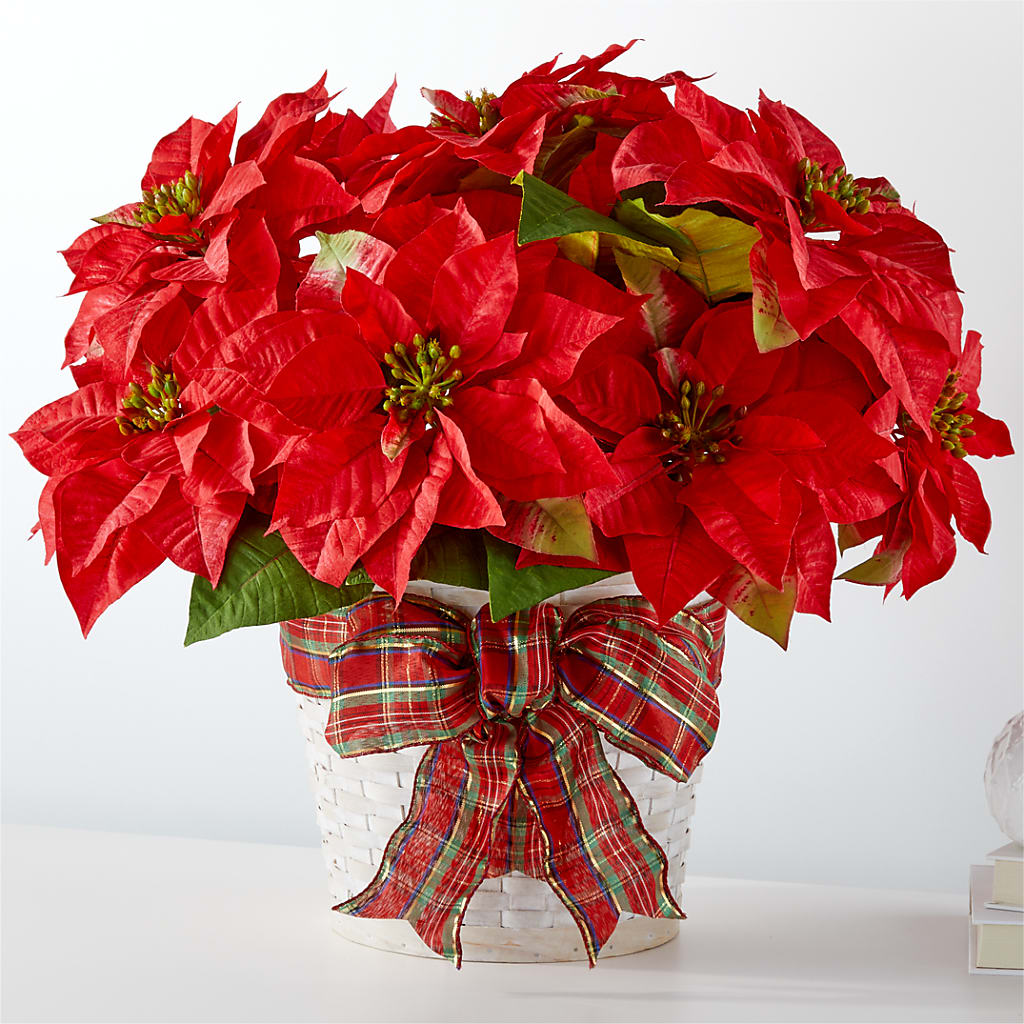 Happiest Holidays Poinsettia – Delhi Flowers, Delhi ON