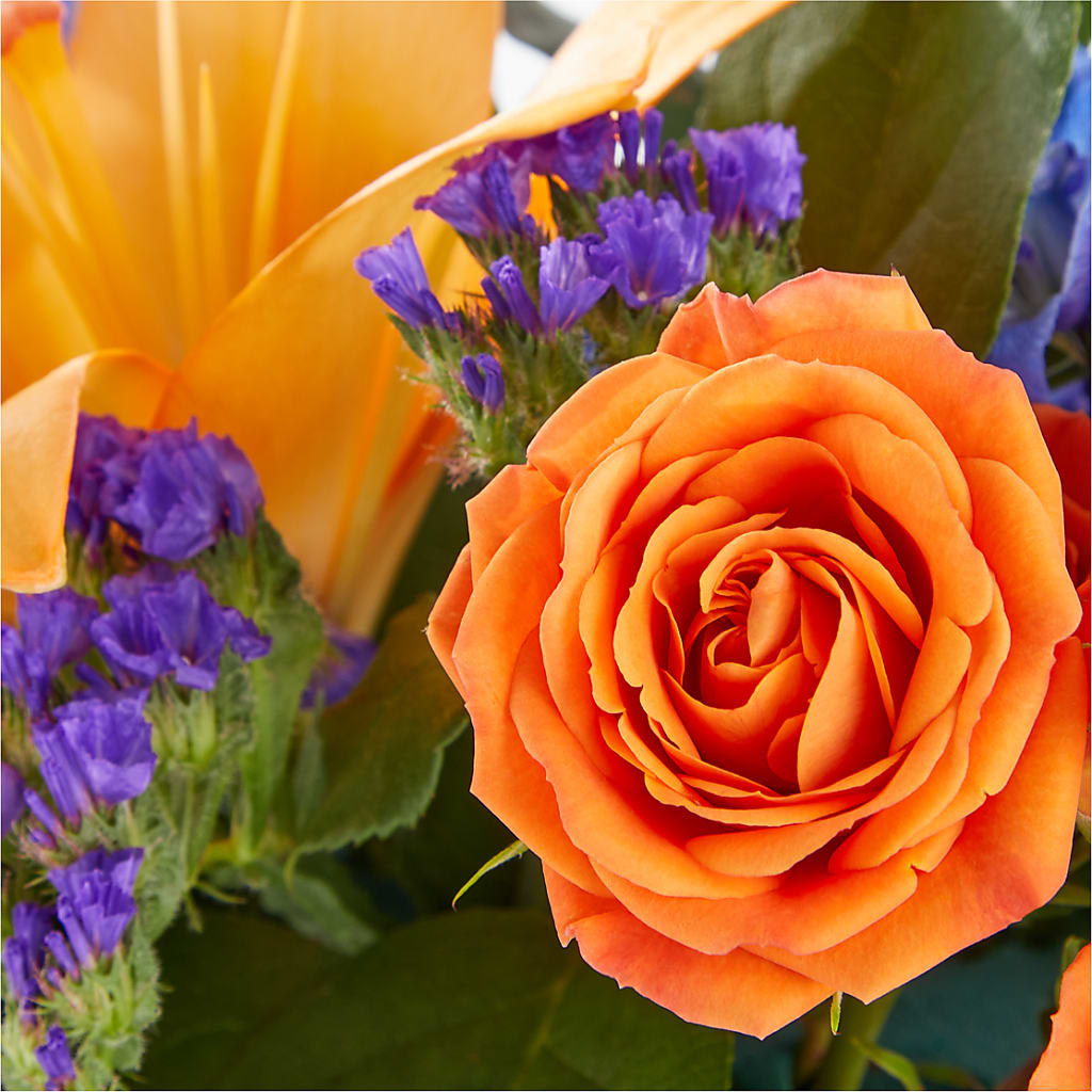 Radiant Citrus Box Bouquet – Delhi Flowers, Delhi ON