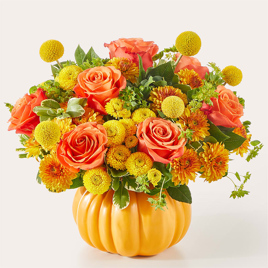 Gourdgeous Pumpkin – Delhi Flowers, Delhi ON