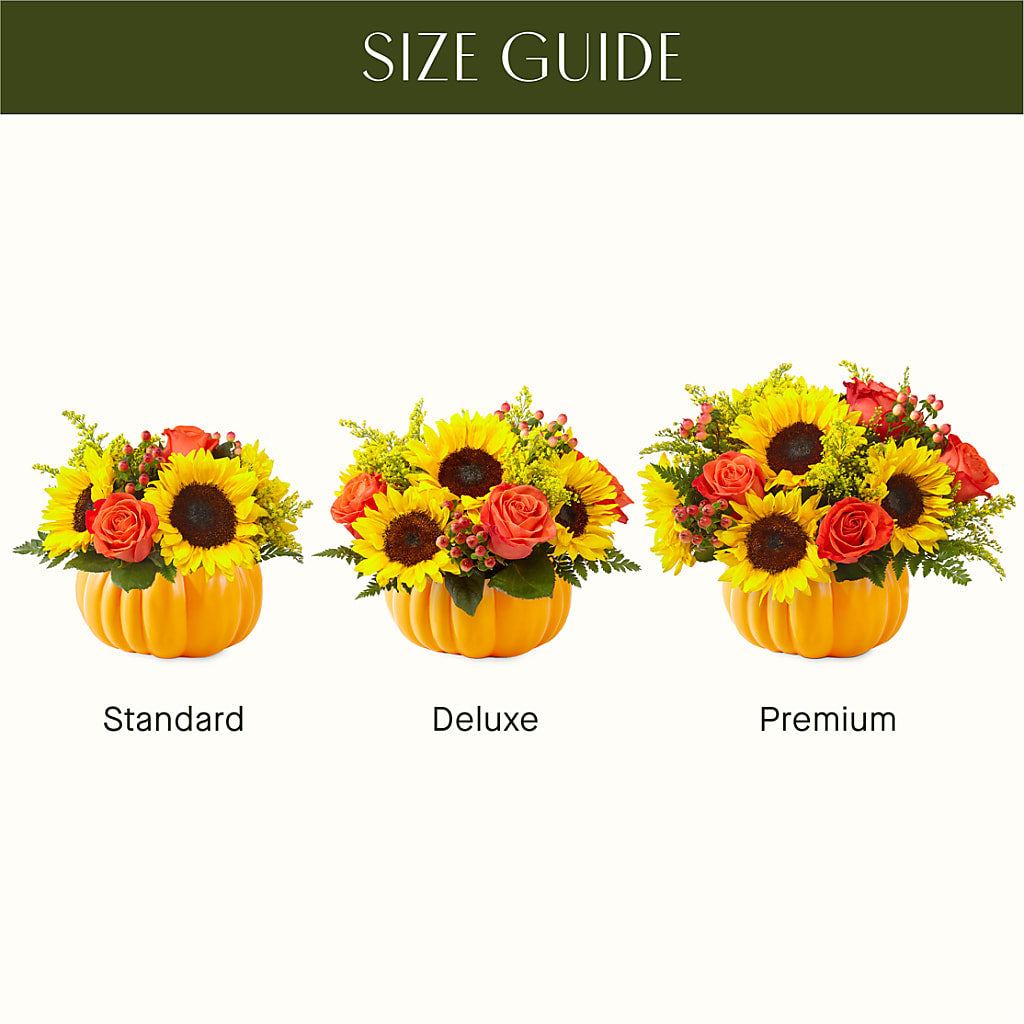 Pick of the Patch Pumpkin Bouquet – Delhi Flowers, Delhi ON