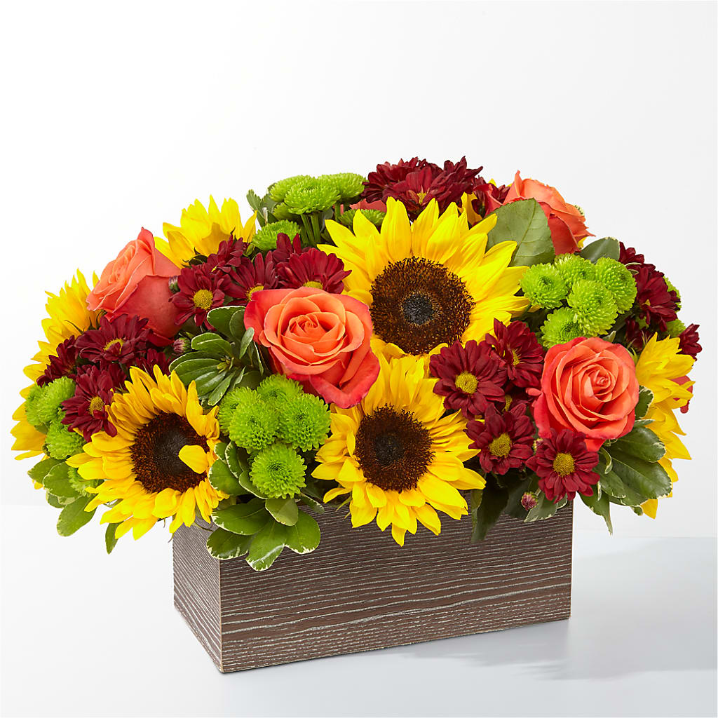 Happy Harvest Garden – Delhi Flowers, Delhi ON