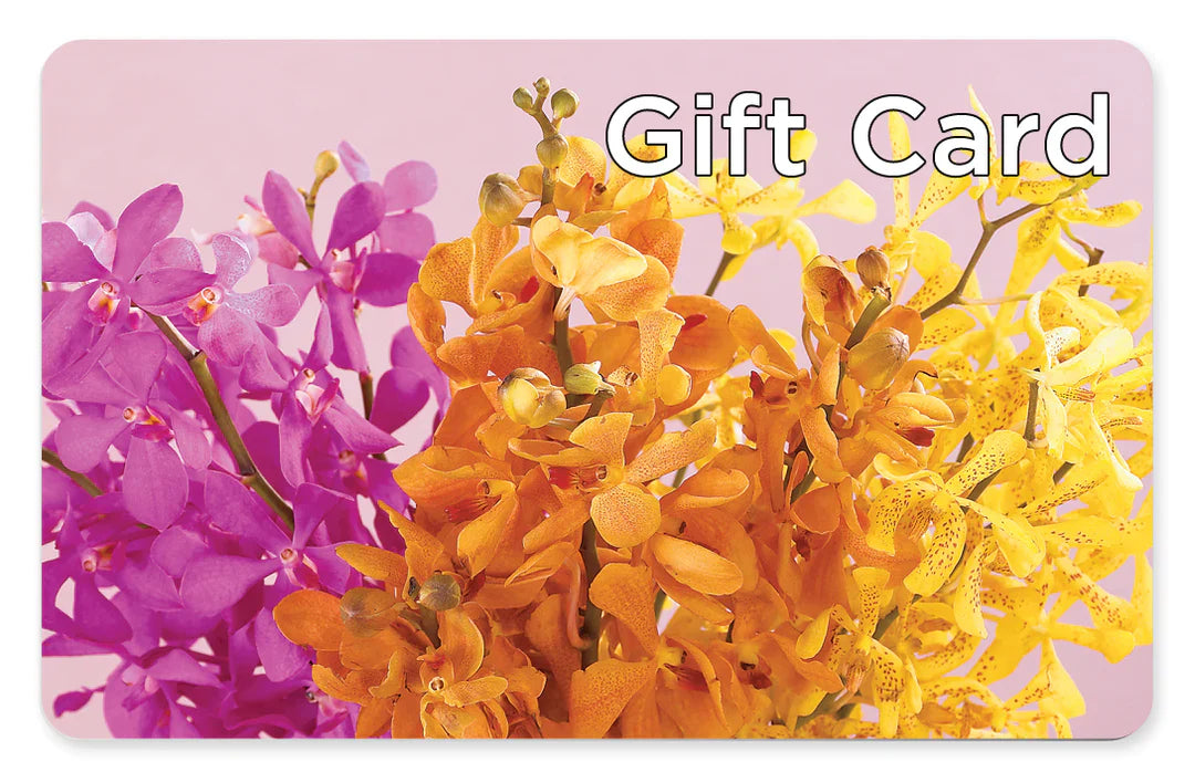 Gift Card – Delhi Flowers, Delhi ON