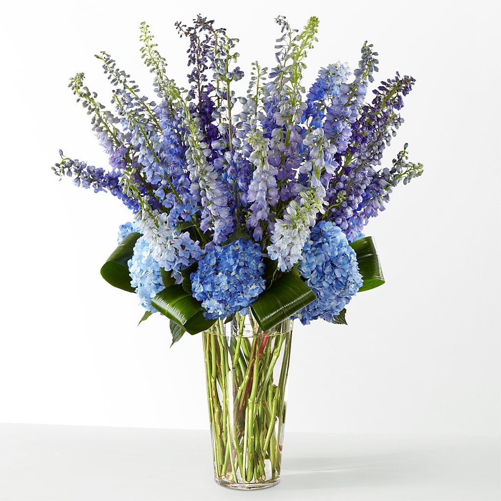 The Editorial – Delhi Flowers, Delhi ON