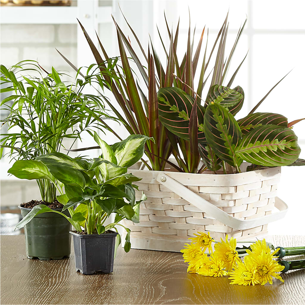 Plantes fleuries et vertes conçues par un fleuriste dans un panier