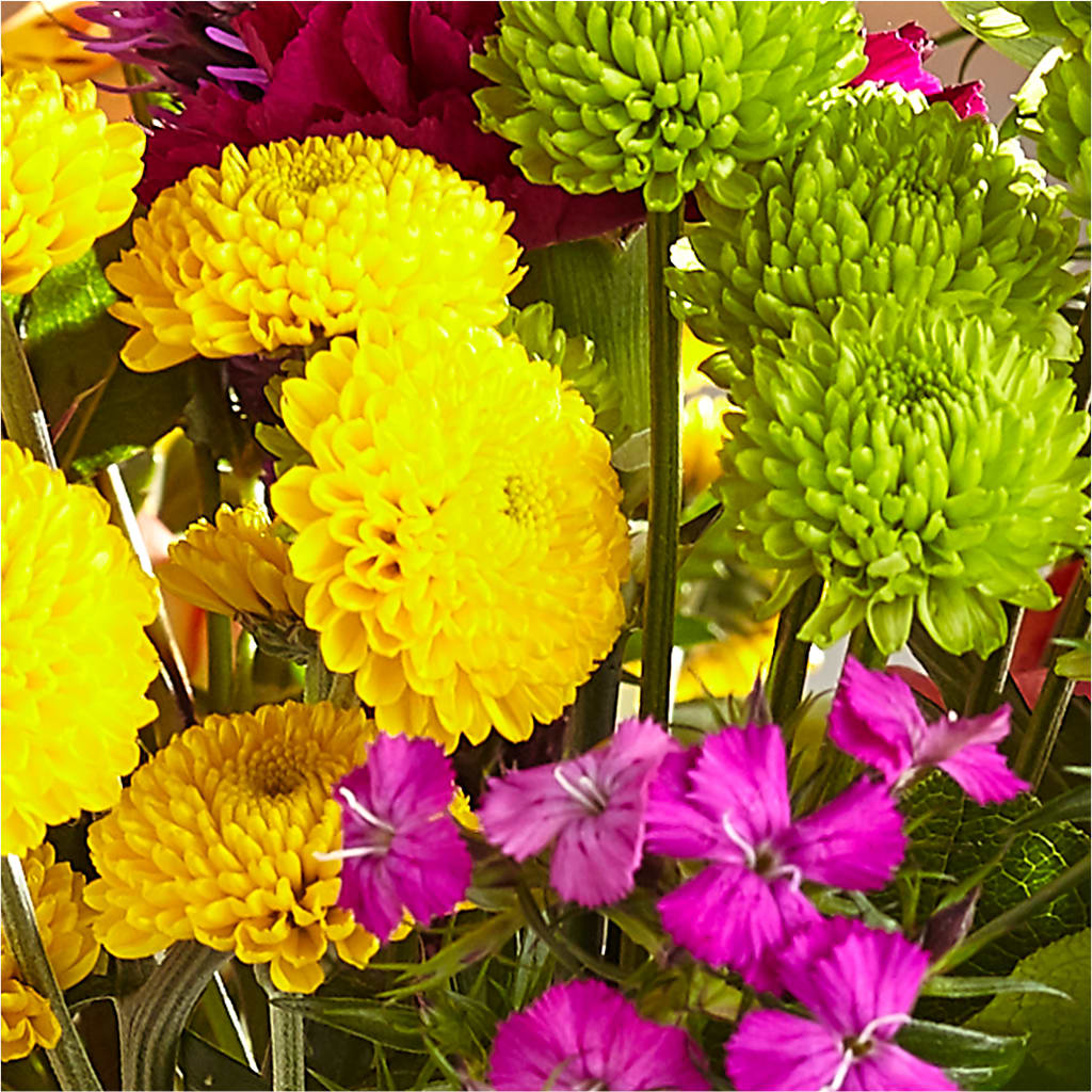 Bold & Bright – A Florist Original –  Delhi Flowers, Delhi ON