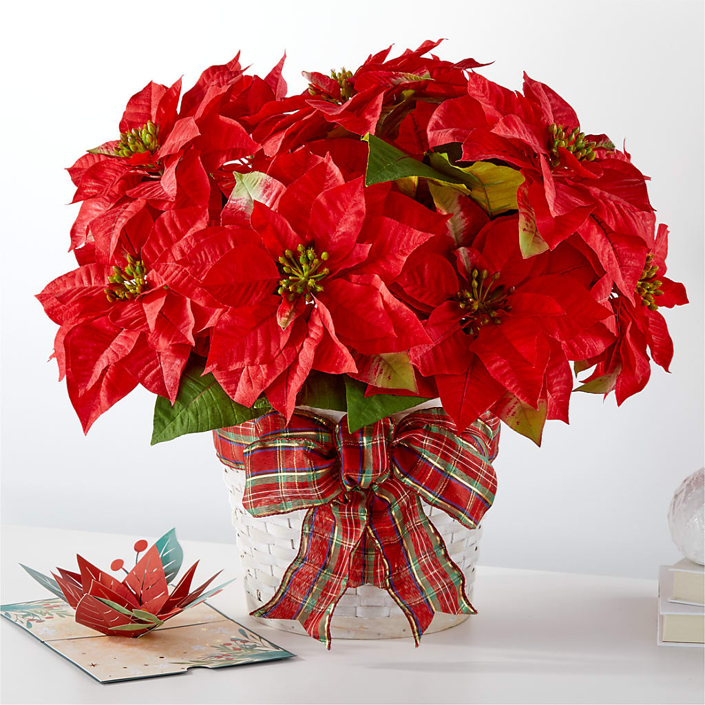 Carte de vœux « Joyeuses fêtes » avec poinsettia et Lovepop