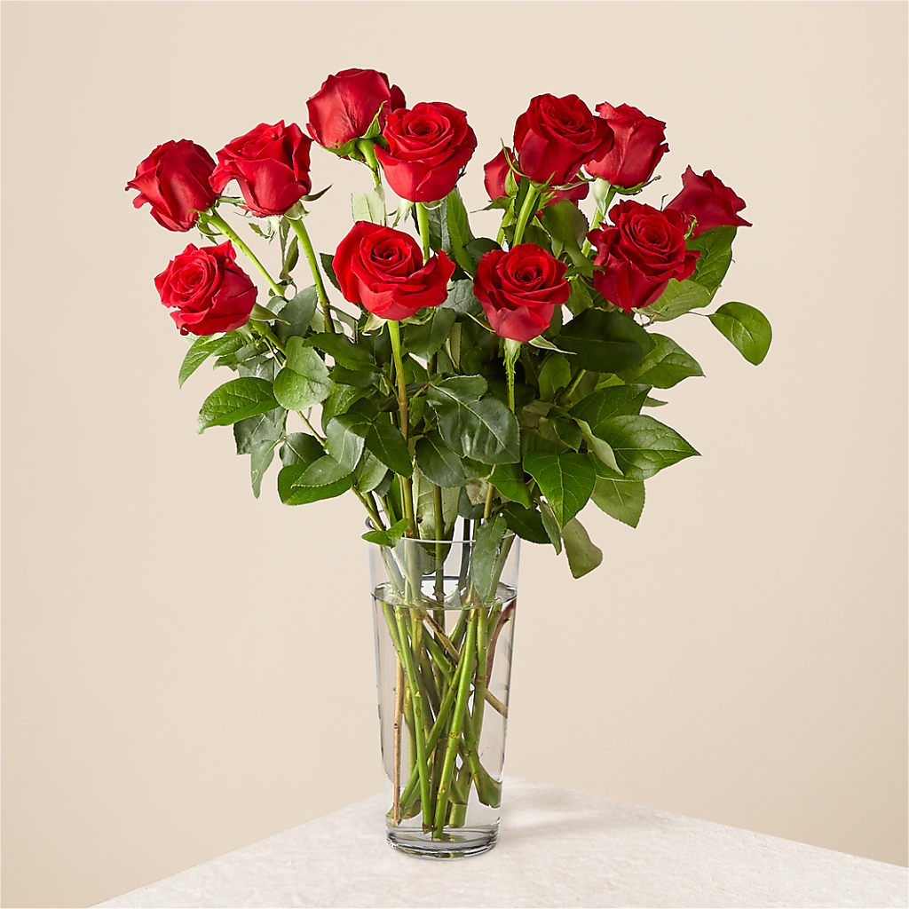 Long Stem Red Rose Bouquet –  Delhi Flowers, Delhi ON
