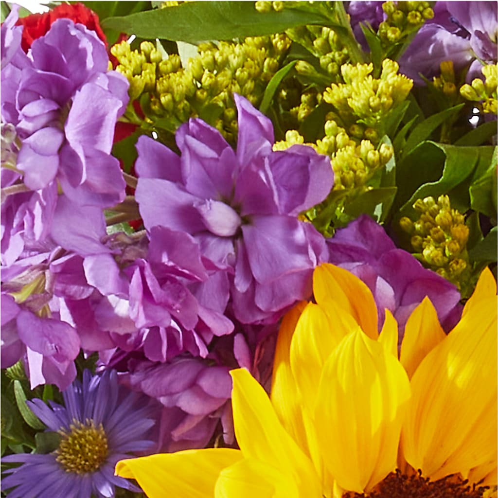 Celebrating You Bouquet –  Delhi Flowers, Delhi ON