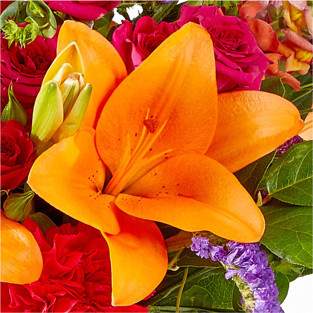Birthday Palooza Bouquet –  Delhi Flowers, Delhi ON
