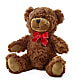 Adorable Plush Bear –  Delhi Flowers, Delhi ON