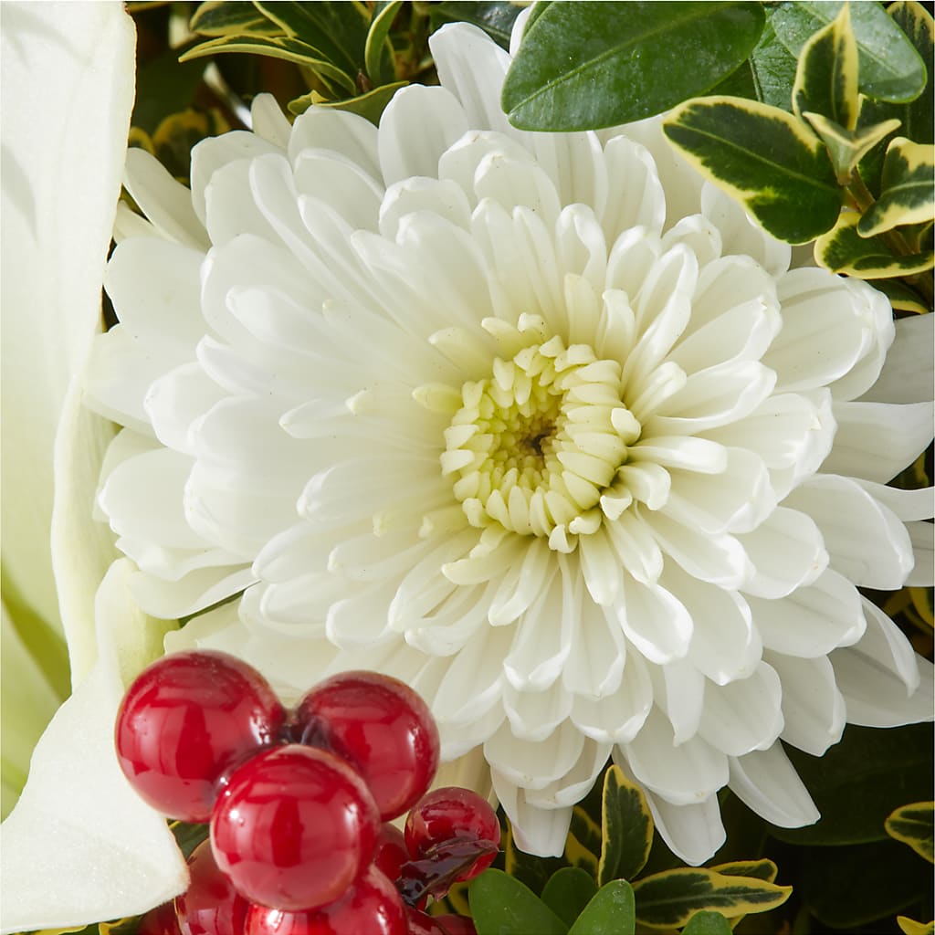 Festive Moments Tree –  Delhi Flowers, Delhi ON