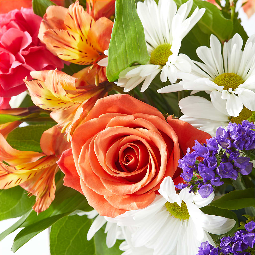 Oopsie Daisy Box Bouquet –  Delhi Flowers, Delhi ON