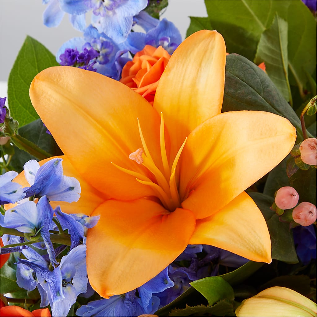 Radiant Citrus Box Bouquet –  Delhi Flowers, Delhi ON