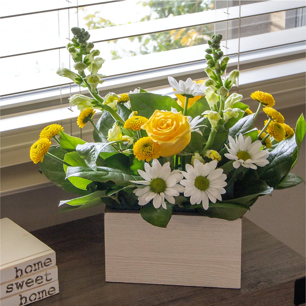 Sun Salutation Box Bouquet –  Delhi Flowers, Delhi ON