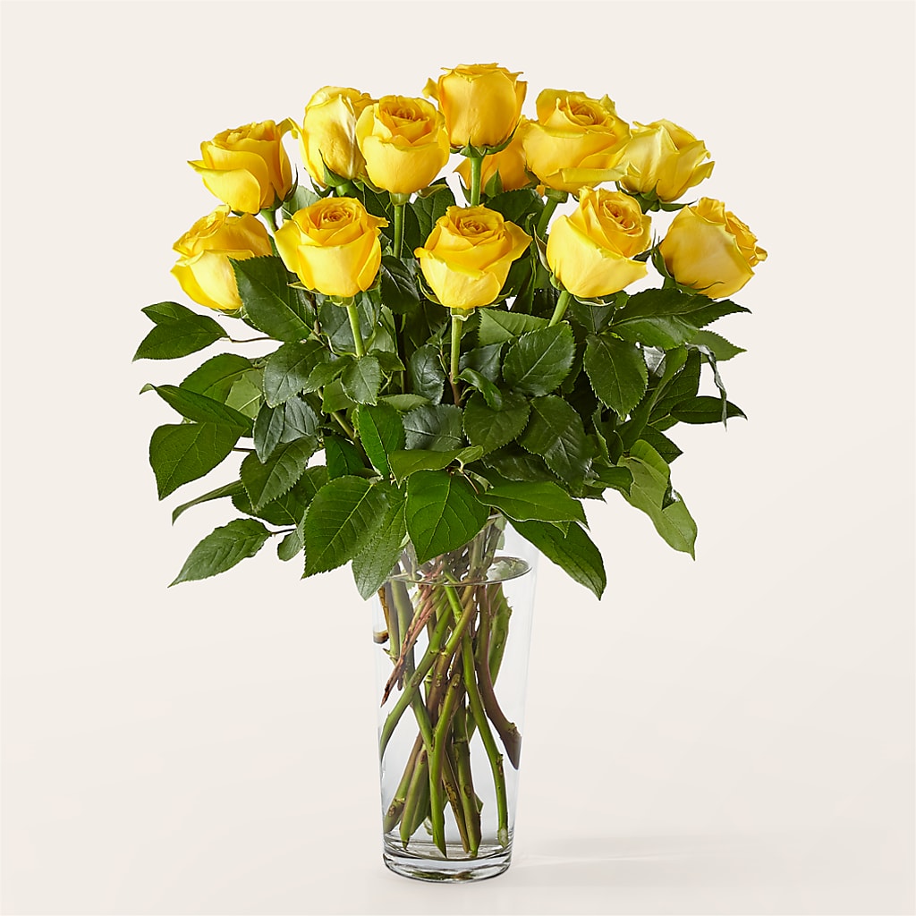 Long Stem Yellow Rose Bouquet –  Delhi Flowers, Delhi ON