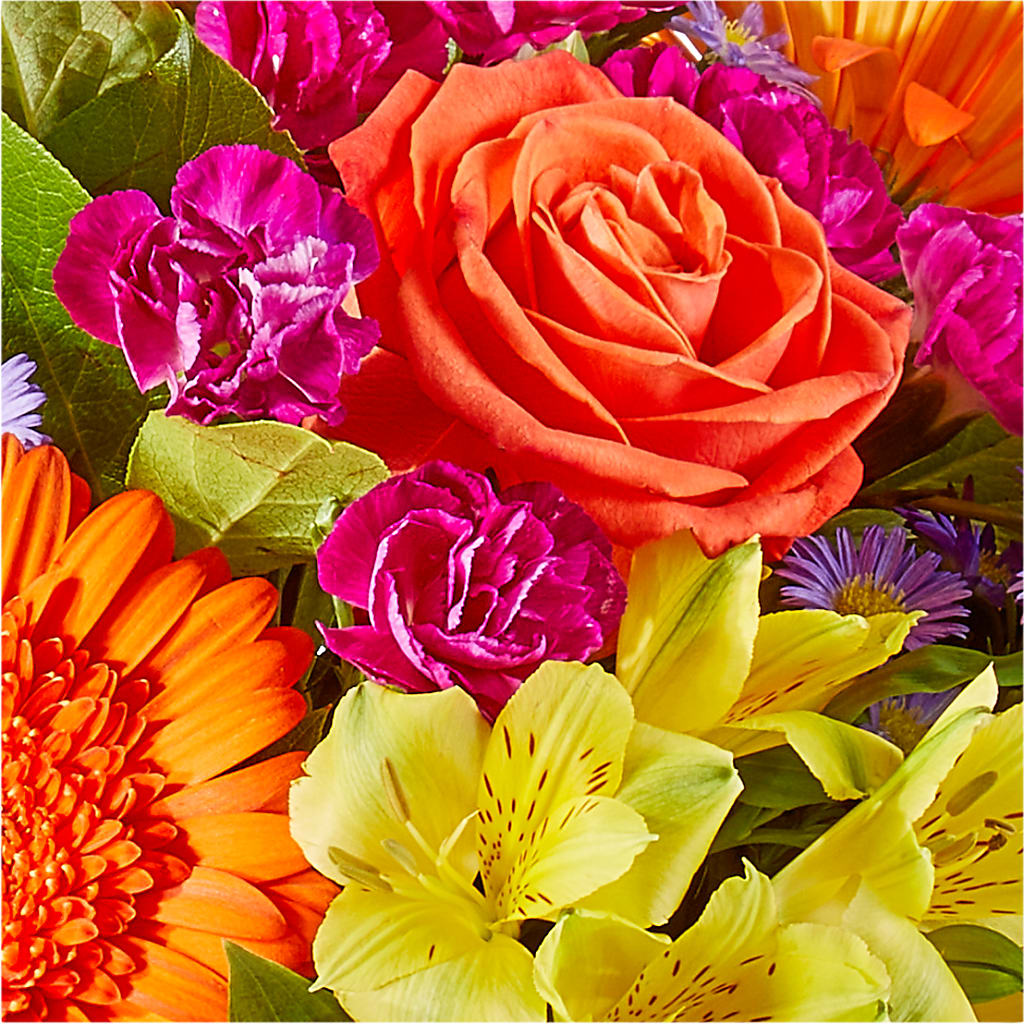 Tricks & Treats Pumpkin –  Delhi Flowers, Delhi ON