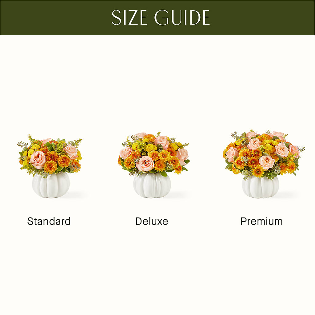Peachy Pumpkin –  Delhi Flowers, Delhi ON