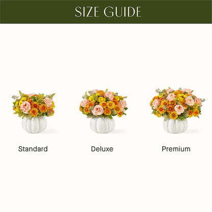 Peachy Pumpkin –  Delhi Flowers, Delhi ON