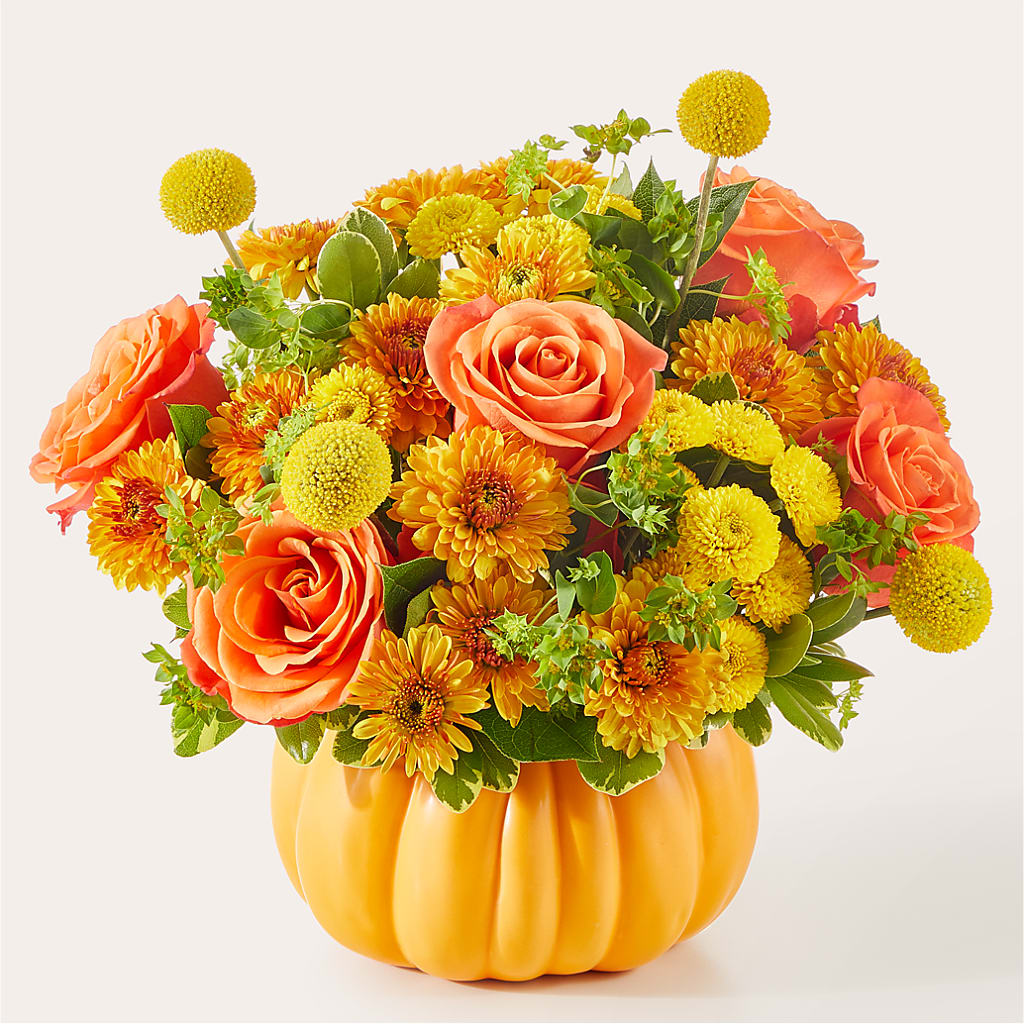 Gourdgeous Pumpkin –  Delhi Flowers, Delhi ON
