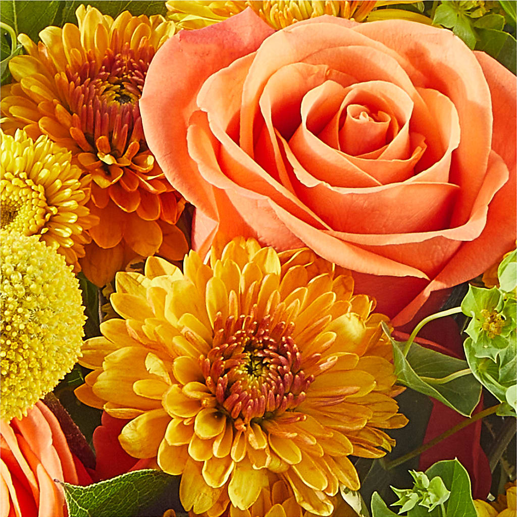 Gourdgeous Pumpkin –  Delhi Flowers, Delhi ON
