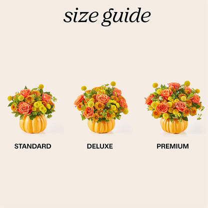 Gourdgeous Pumpkin –  Delhi Flowers, Delhi ON