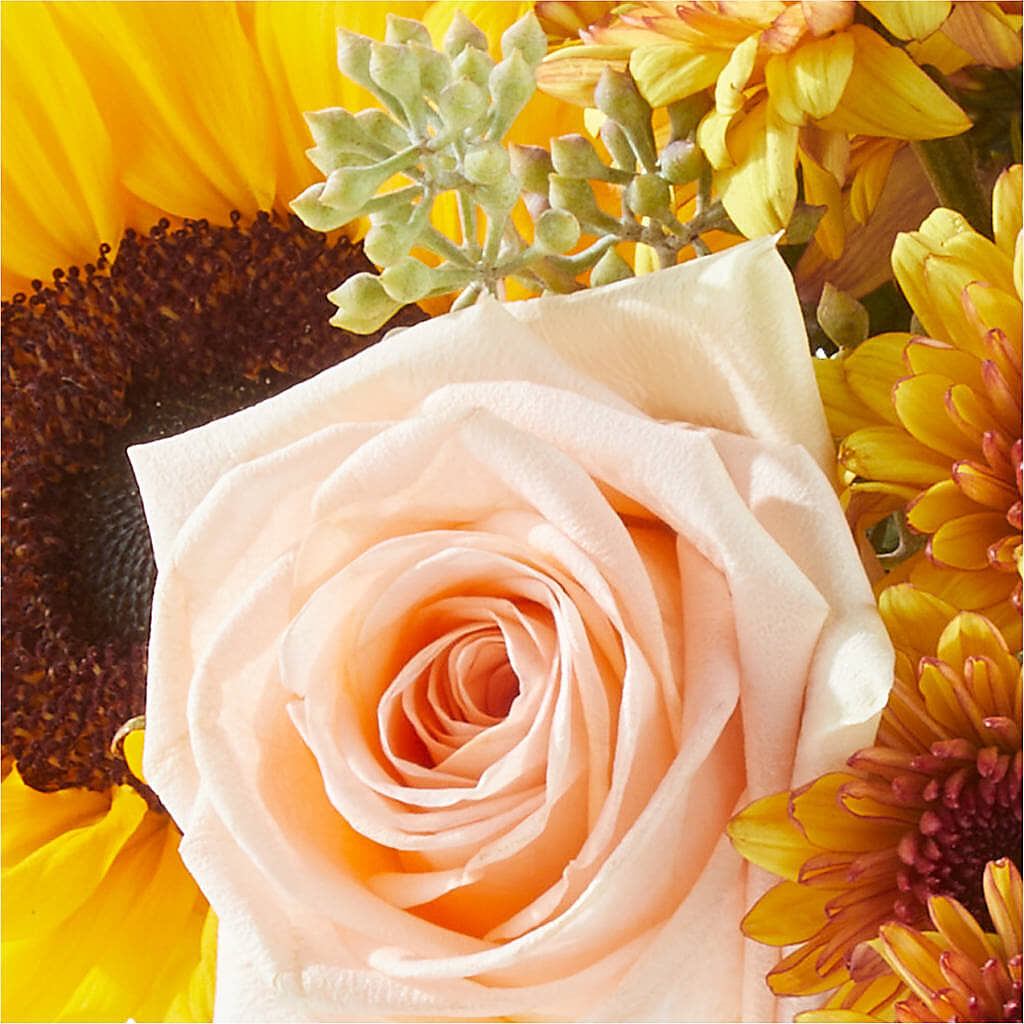 Pumpkin to Talk About Bouquet –  Delhi Flowers, Delhi ON