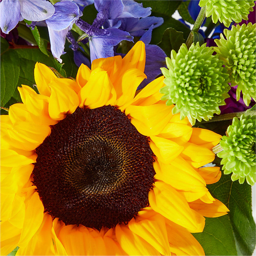 Catching Rays Bouquet –  Delhi Flowers, Delhi ON