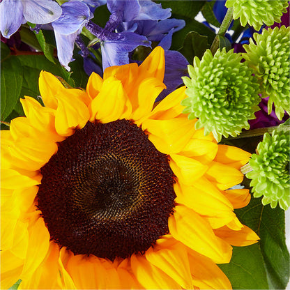 Catching Rays Bouquet –  Delhi Flowers, Delhi ON