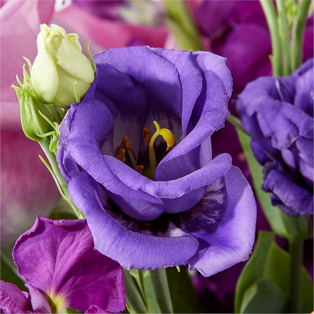 Twilight Glow Bouquet –  Delhi Flowers, Delhi ON
