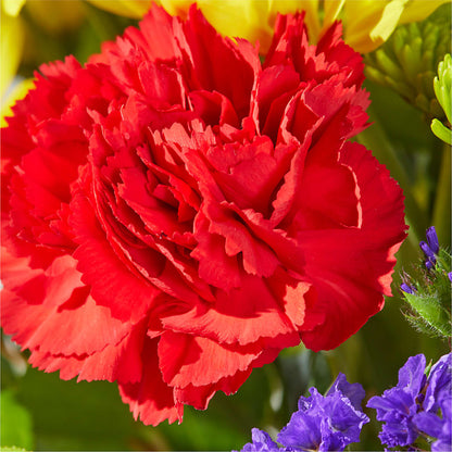Brighter Days Bouquet –  Delhi Flowers, Delhi ON