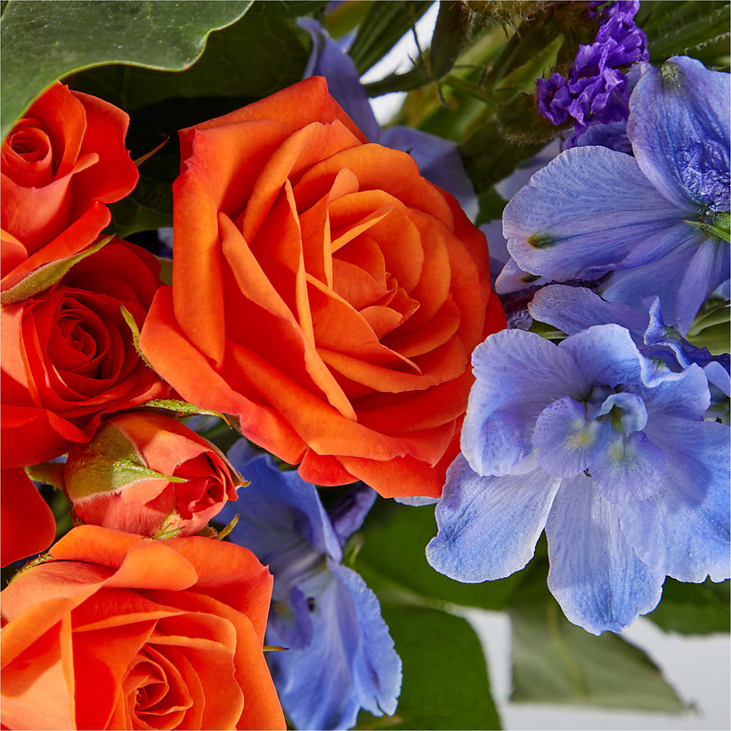 Radiant Citrus Bouquet –  Delhi Flowers, Delhi ON