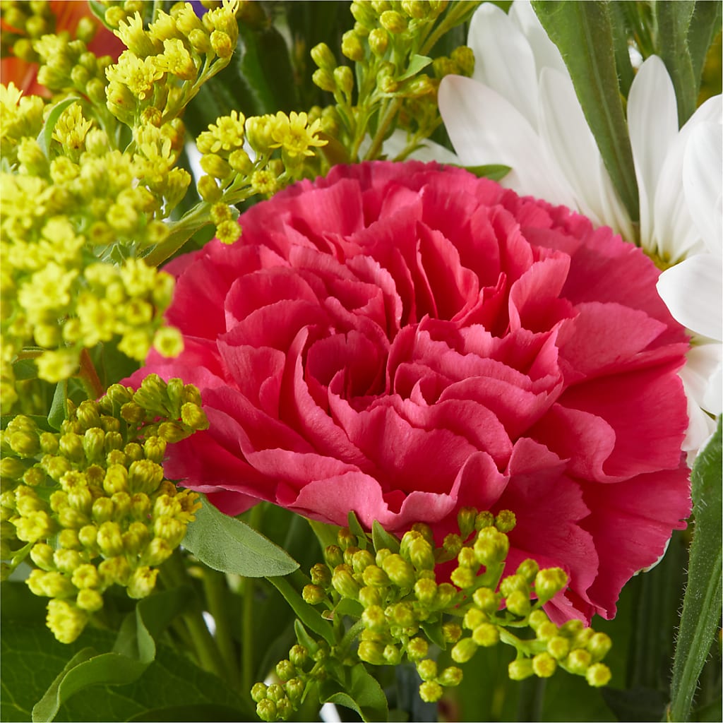 Oopsie Daisy Bouquet –  Delhi Flowers, Delhi ON