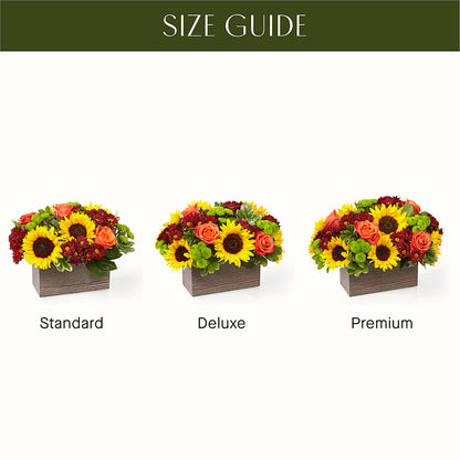Happy Harvest Garden –  Delhi Flowers, Delhi ON