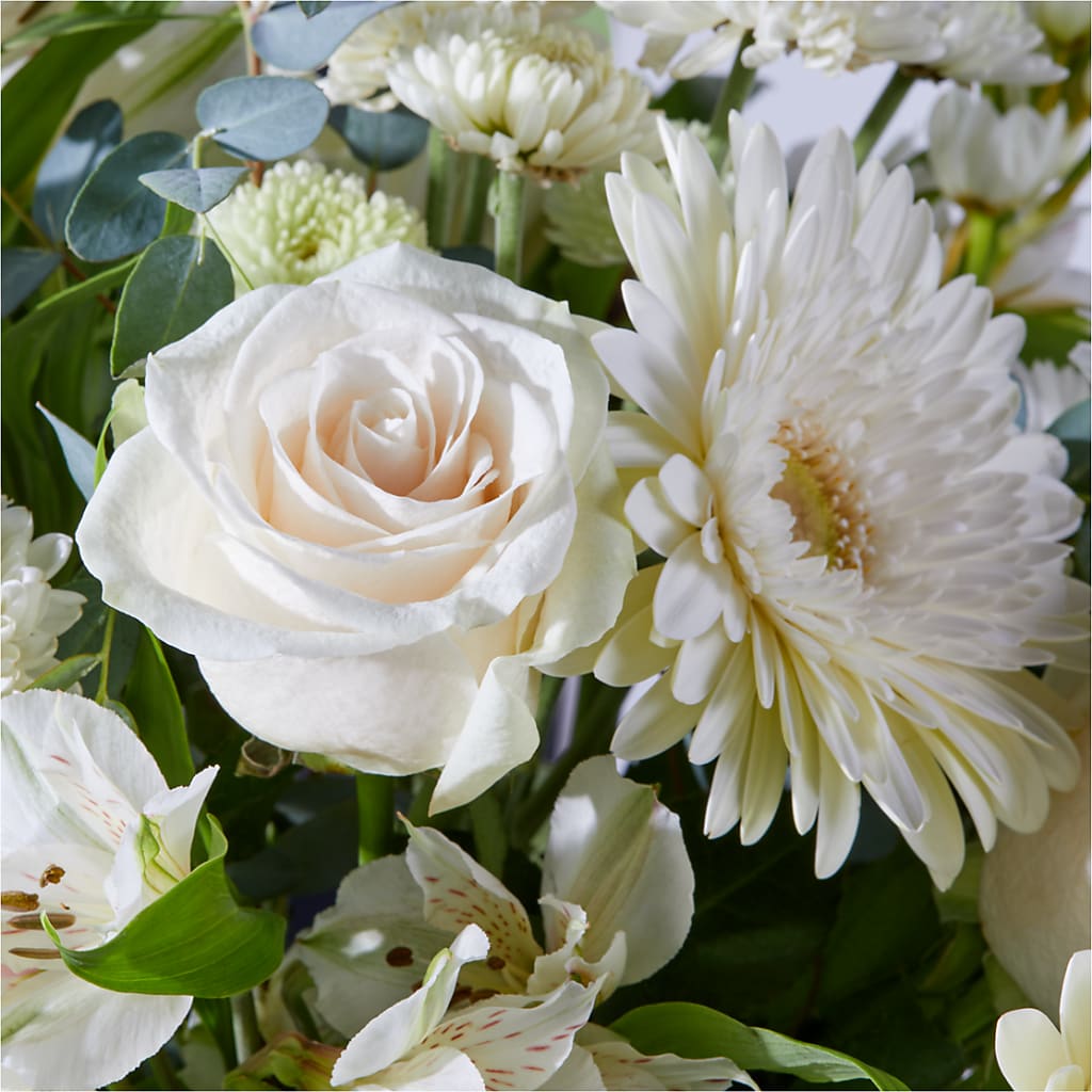 New Beginnings – A Florist Original –  Delhi Flowers, Delhi ON