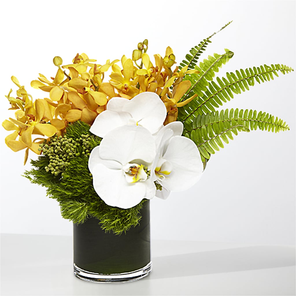 The Tropics –  Delhi Flowers, Delhi ON