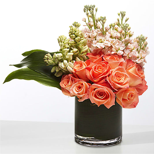 The Moment –  Delhi Flowers, Delhi ON