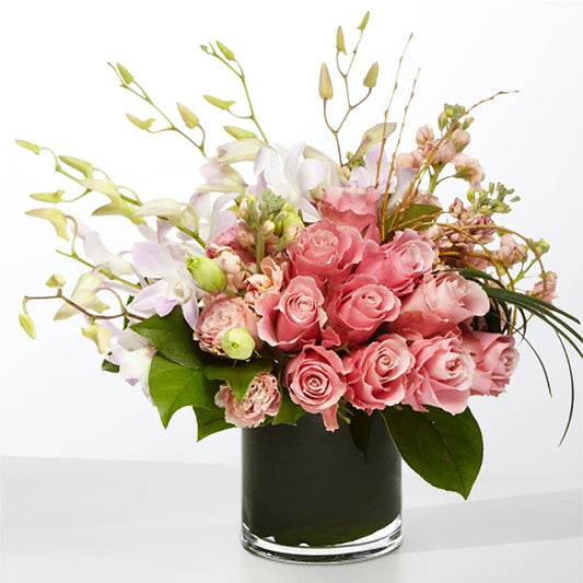 The Muse –  Delhi Flowers, Delhi ON
