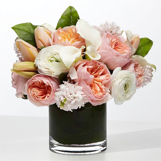 The Destiny –  Delhi Flowers, Delhi ON