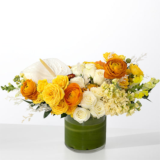 The Optimist –  Delhi Flowers, Delhi ON