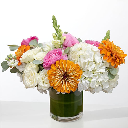 The Meet Cute –  Delhi Flowers, Delhi ON