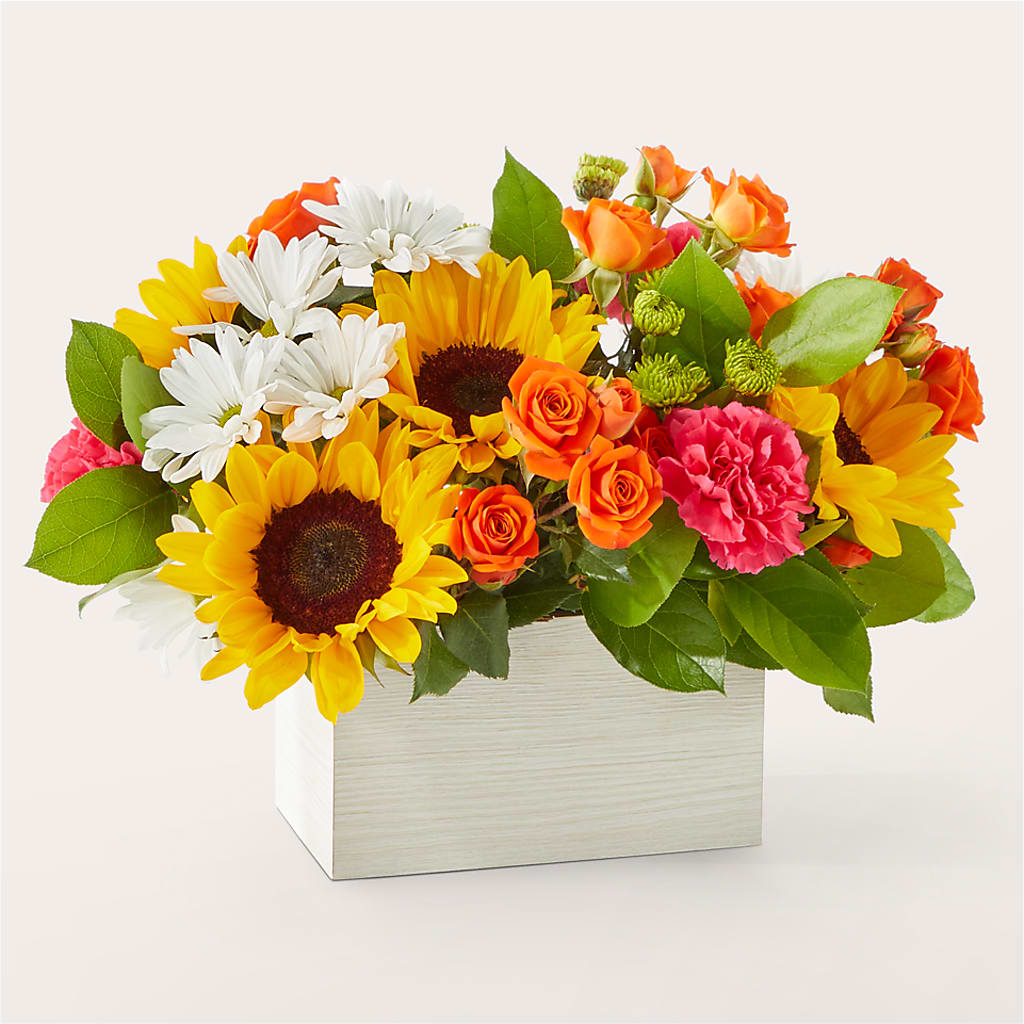 Sun-drenched Blooms Box Bouquet –  Delhi Flowers, Delhi ON