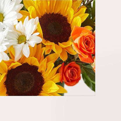 Sun-drenched Blooms Box Bouquet –  Delhi Flowers, Delhi ON