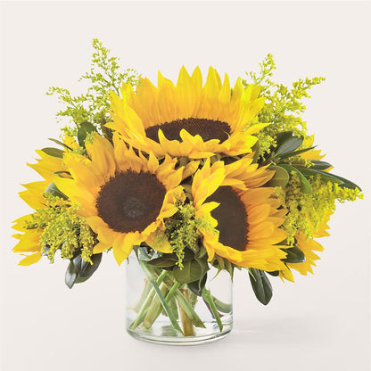 Bouquet de tournesols rayonnants