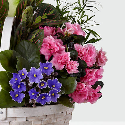 Peaceful Garden Planter –  Delhi Flowers, Delhi ON