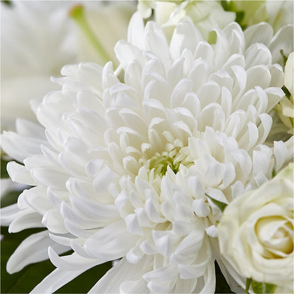 Classic Ivory – A Florist Original –  Delhi Flowers, Delhi ON