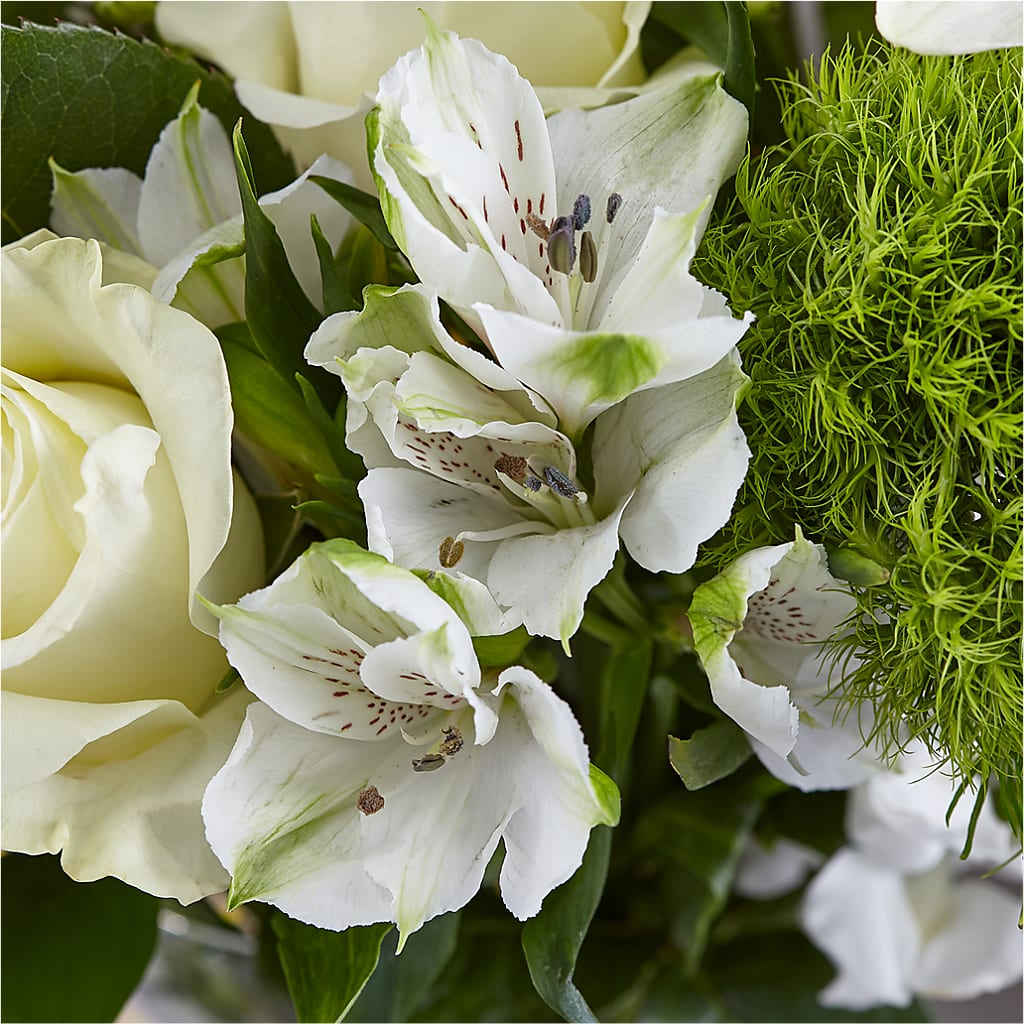 Classic Ivory – A Florist Original –  Delhi Flowers, Delhi ON