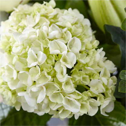 Classic Ivory – A Florist Original –  Delhi Flowers, Delhi ON