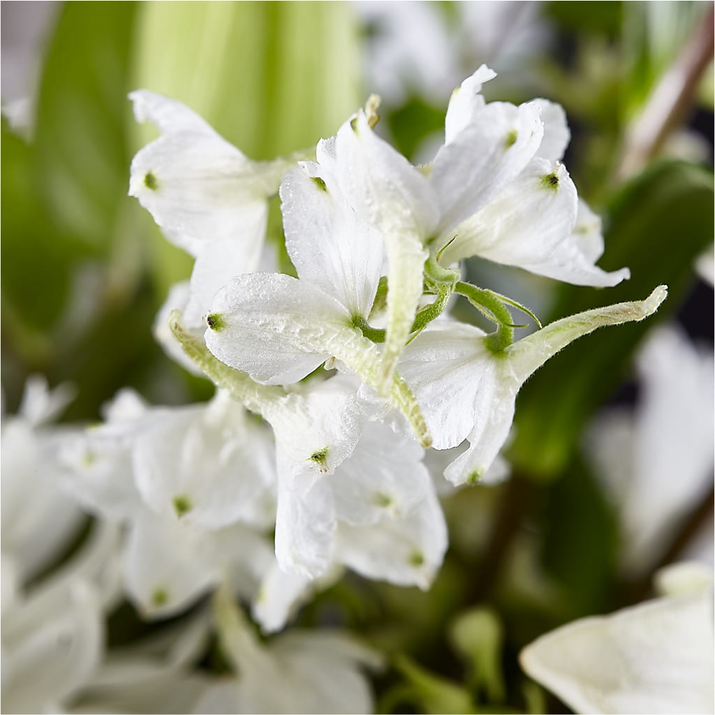 Classic Ivory – A Florist Original –  Delhi Flowers, Delhi ON