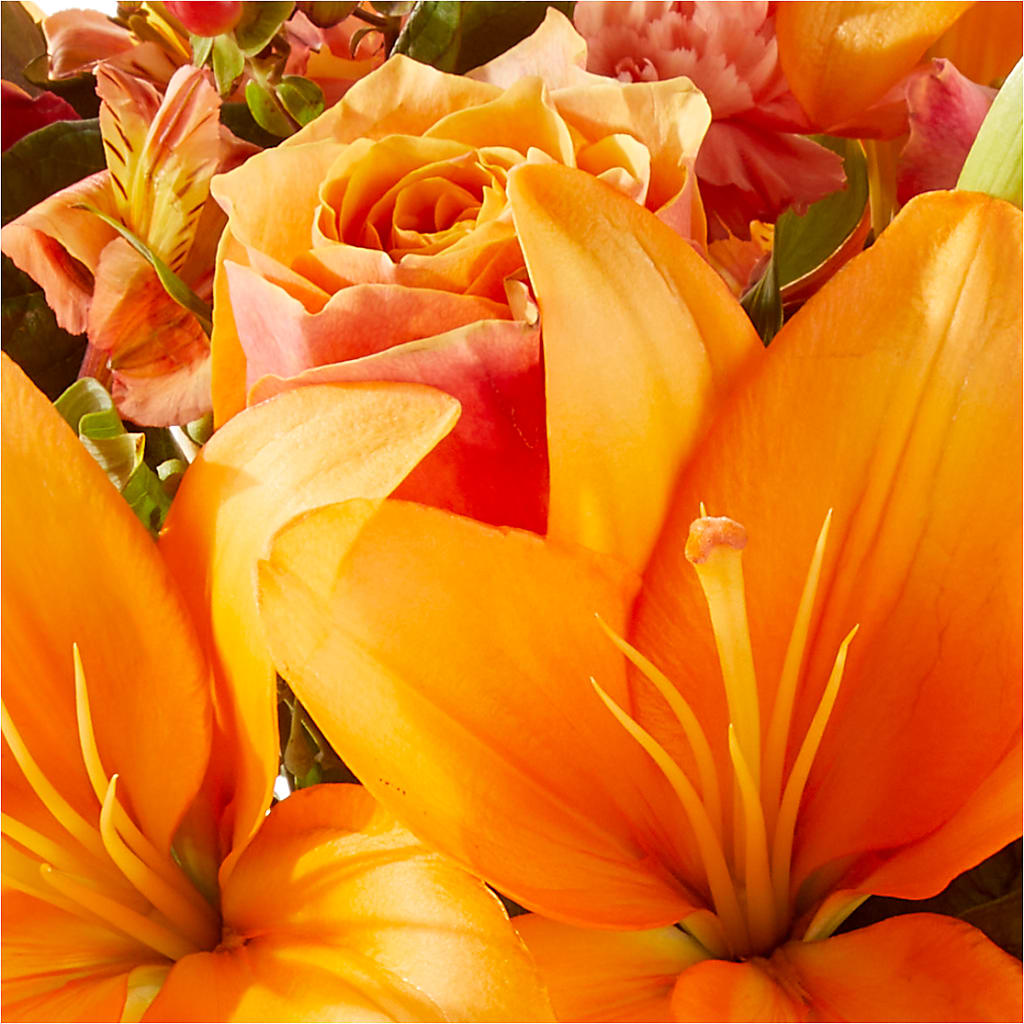 Afternoon Light Bouquet –  Delhi Flowers, Delhi ON