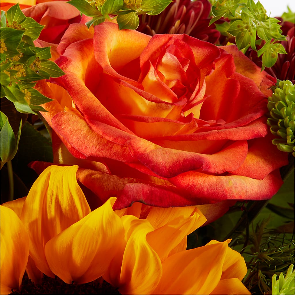 Harvest Festival Bouquet –  Delhi Flowers, Delhi ON